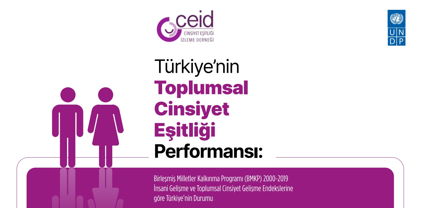 “2000-2019 Yılları arasında Türkiye’nin Toplumsal Cinsiyet Eşitliği Performansı” raporu çıktı Kaos GL - LGBTİ+ Haber Portalı