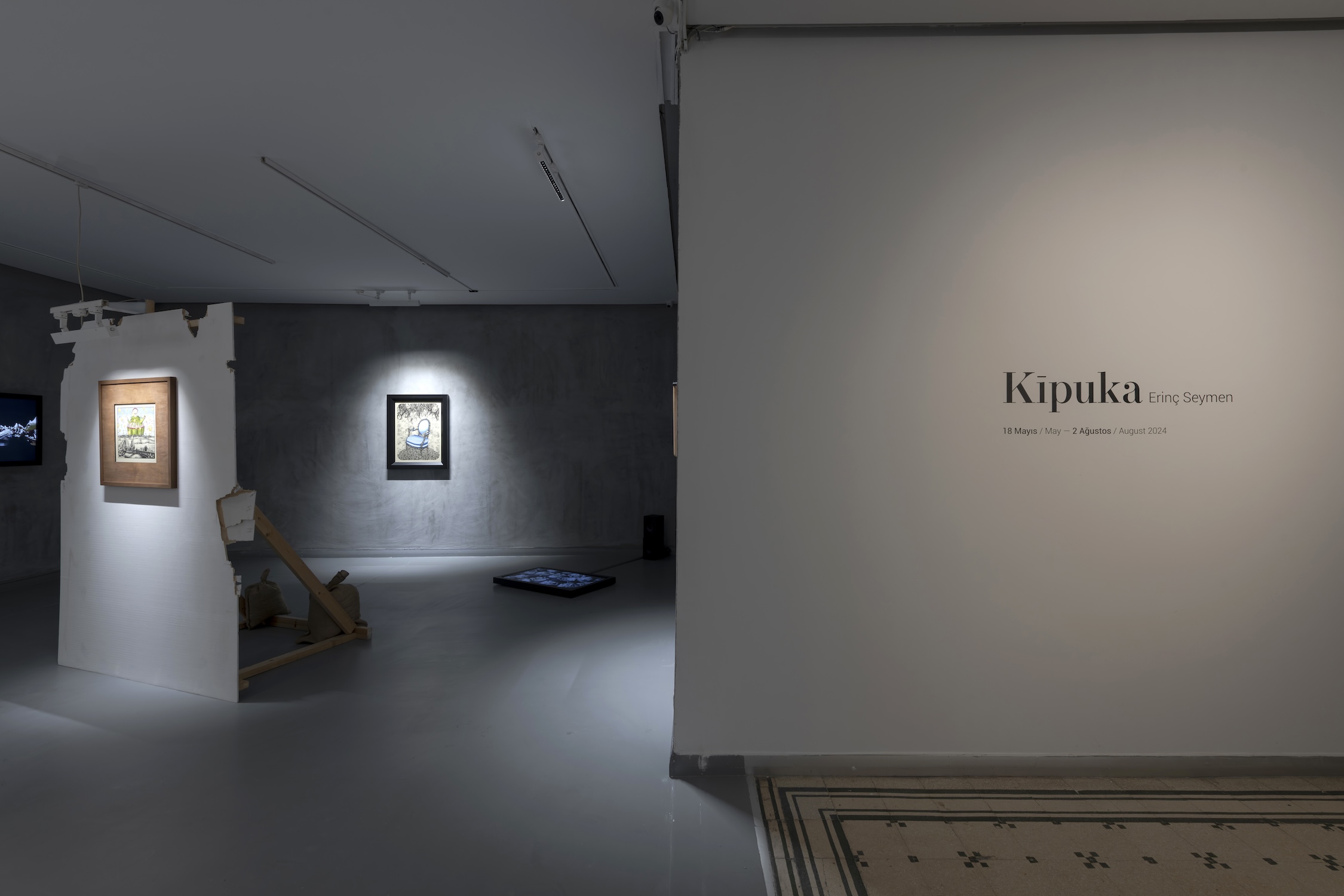 Erinç Seymen’s solo exhibition titled Kīpuka at Zilberman! | Kaos GL - News Portal for LGBTI+