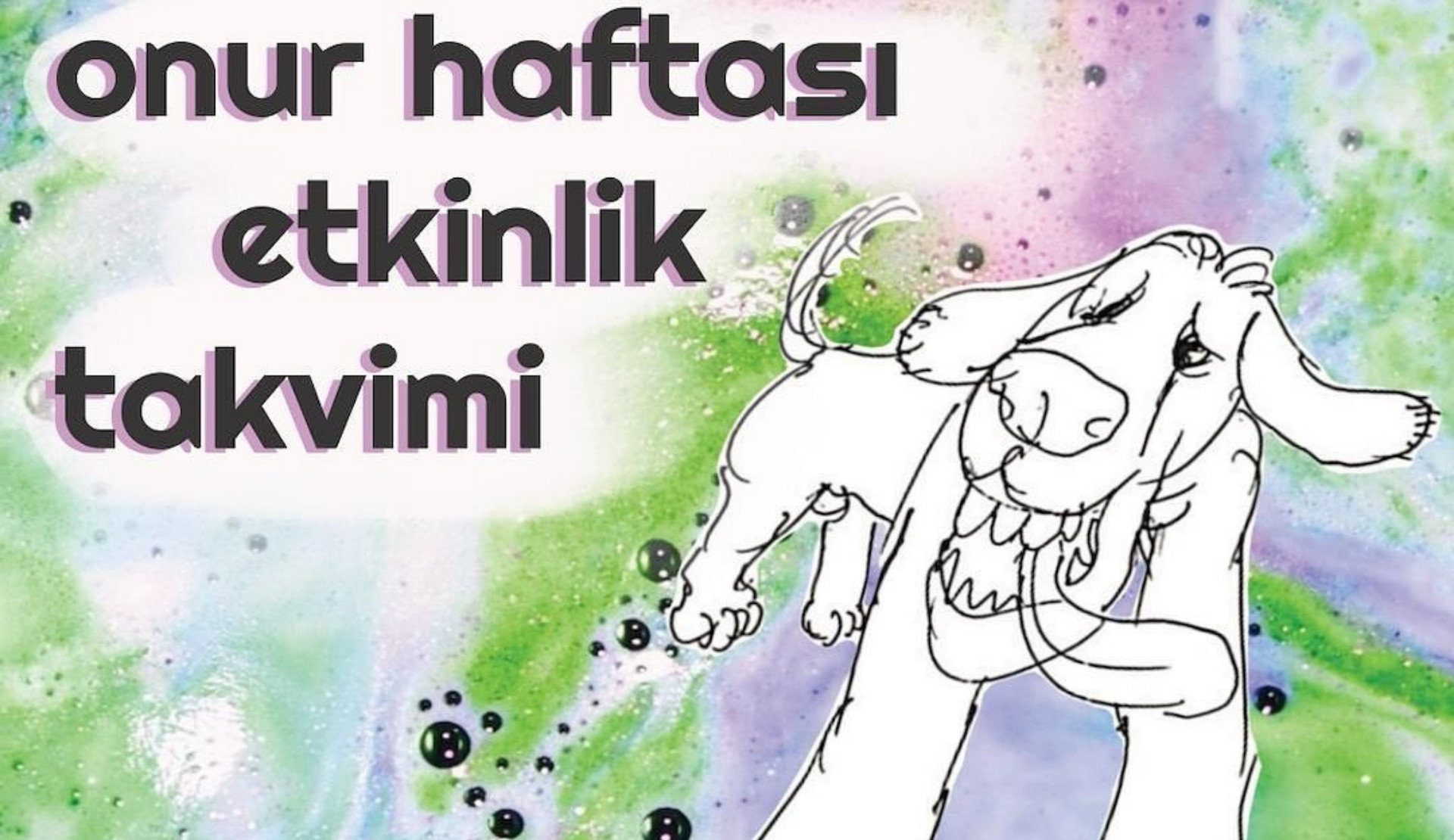 Türk travesti twitter