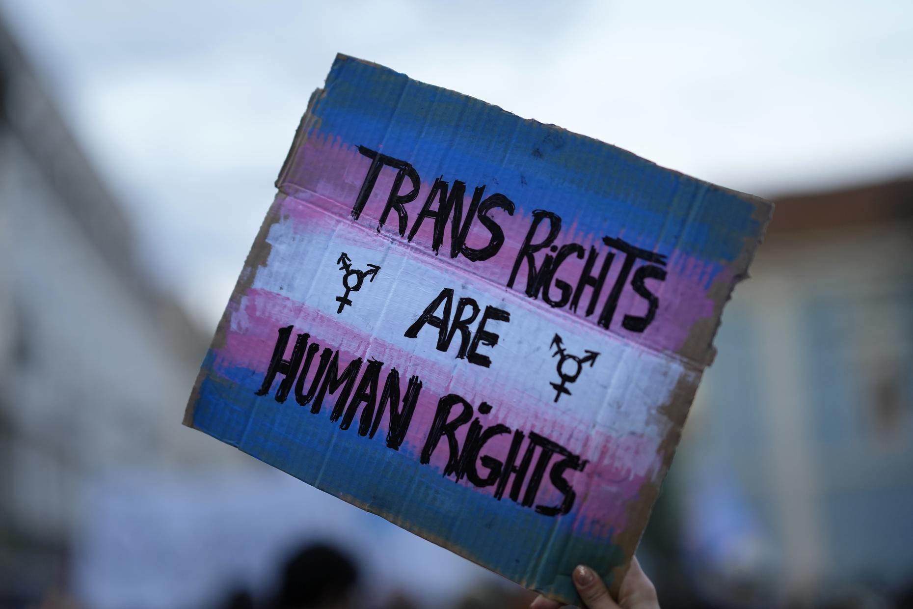 “Kendilerini ulusal kültürün savunucuları olarak sunmak için transları şeytanlaştıran siyasi figürlere dair artan bir eğilim var” Kaos GL - LGBTİ+ Haber Portalı