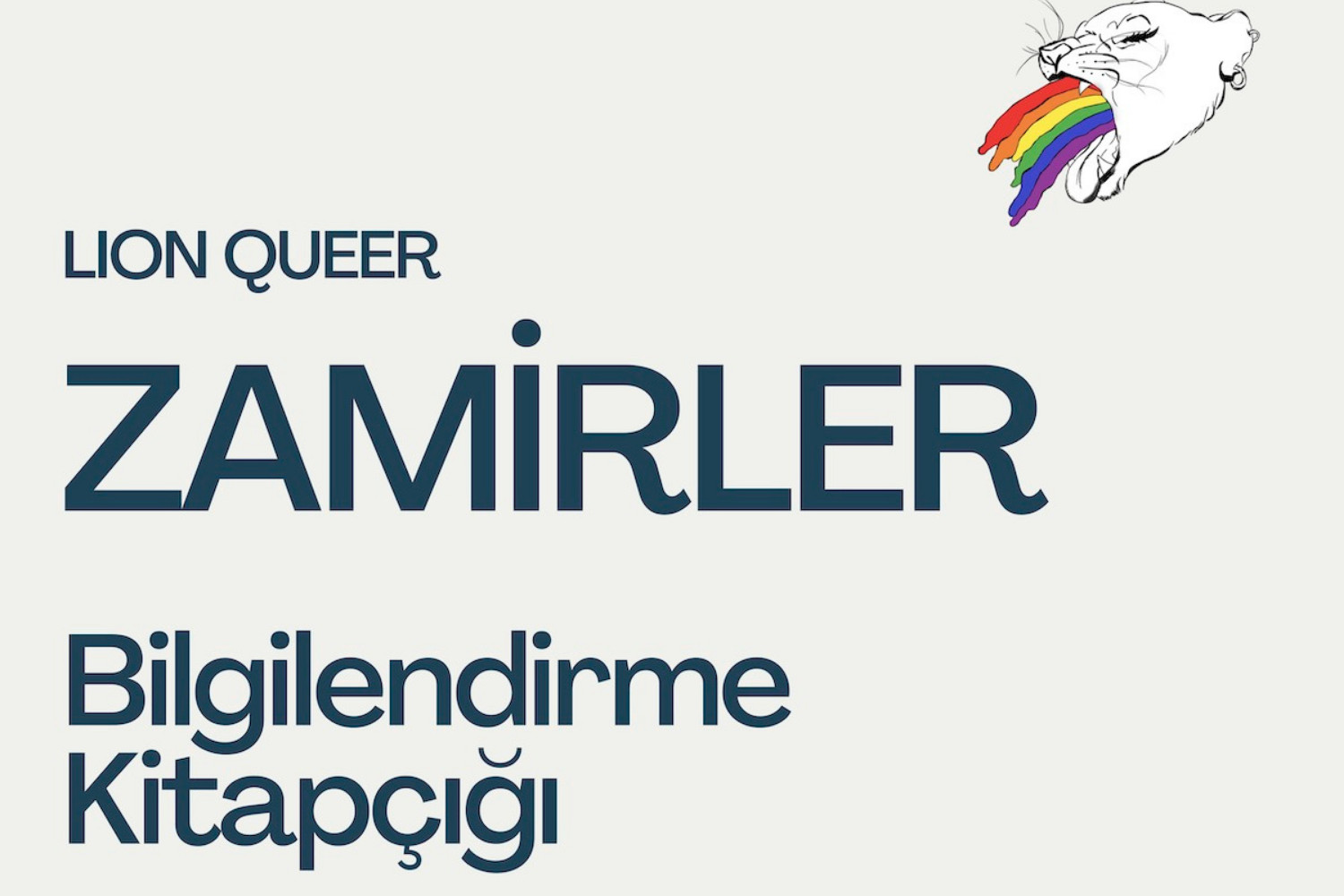 Lion Queer’den zamirler bilgilendirme kitapçığı Kaos GL - LGBTİ+ Haber Portalı