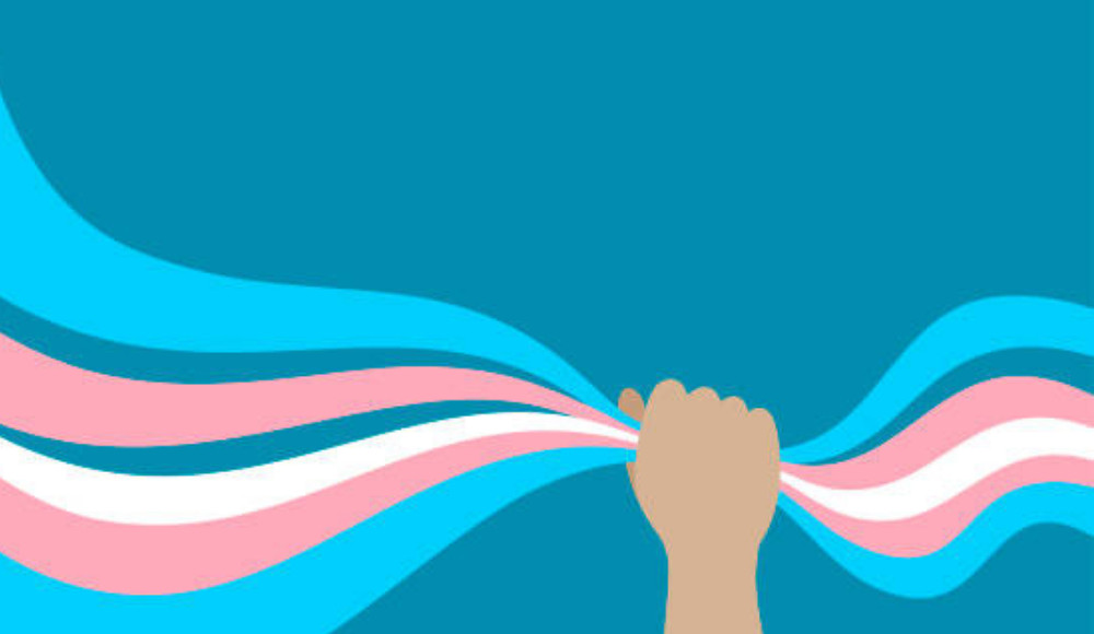 Muamma’dan cinsiyet uyum sürecindeki trans+’lara çağrı Kaos GL - LGBTİ+ Haber Portalı