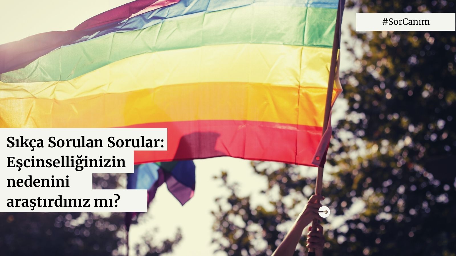 Sor canım: “Eşcinselliğinizin nedenini araştırdınız mı?” | Kaos GL - LGBTİ+ Haber Portalı