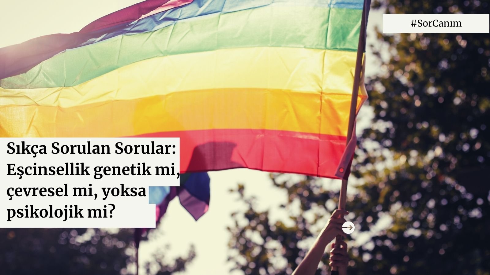 Sor canım: “Eşcinsellik genetik mi, çevresel mi, yoksa psikolojik mi?” | Kaos GL - LGBTİ+ Haber Portalı