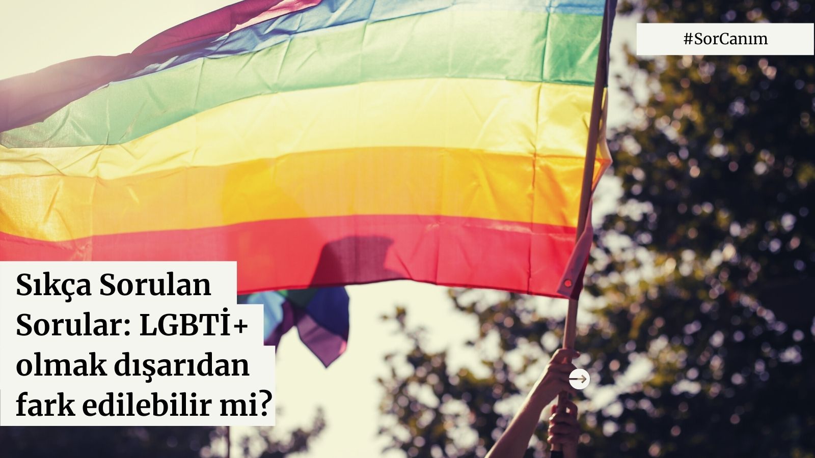 Sor canım: LGBTİ+ olmak dışarıdan fark edilebilir mi? | Kaos GL - LGBTİ+ Haber Portalı