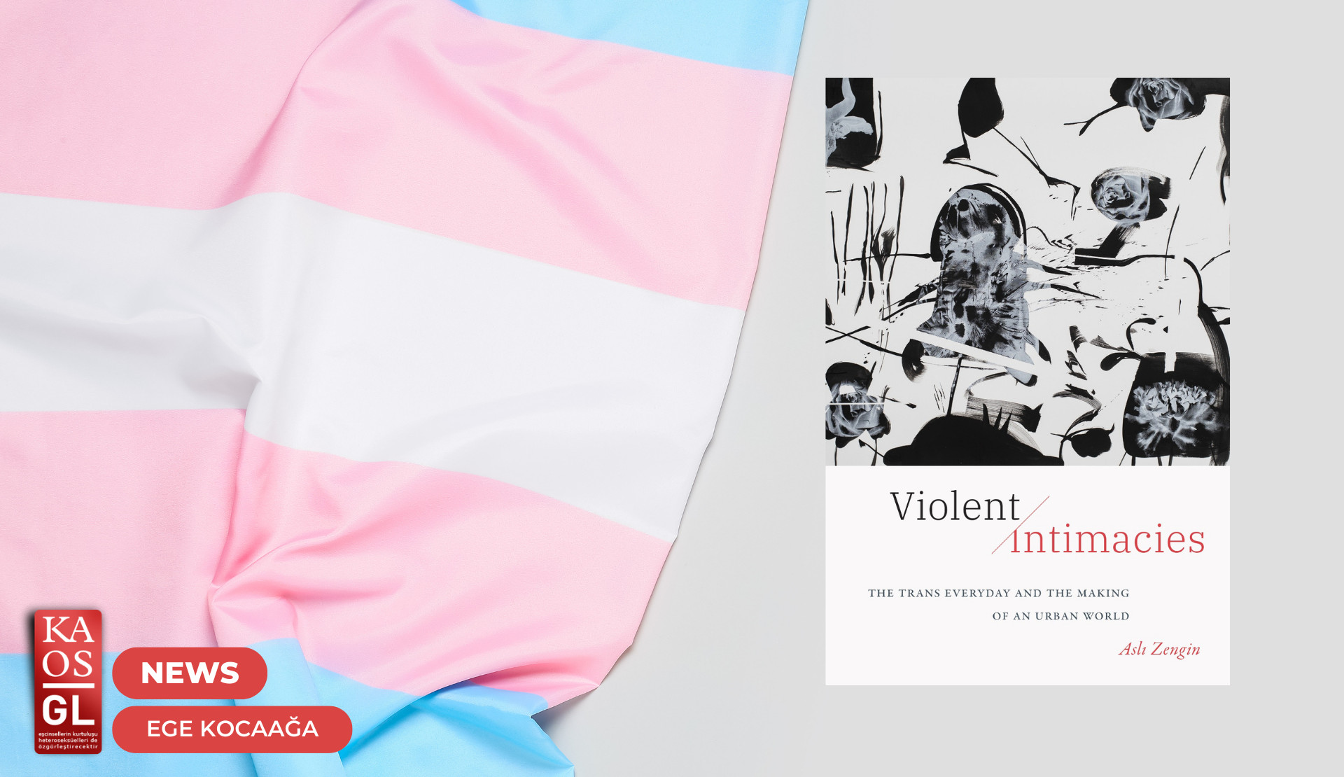 The second of the Theory Talks organized by Queer Academy Network was held with the participation of Aslı Zengin! Kaos GL - News Portal for LGBTI+
