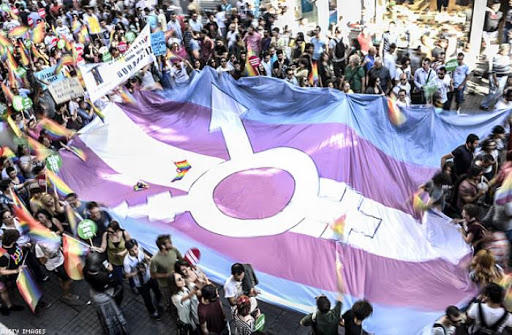 Pembe Hayat: Trans ergenlerle dayanışmaya devam edeceğiz | Kaos GL - LGBTİ+ Haber Portalı Haber