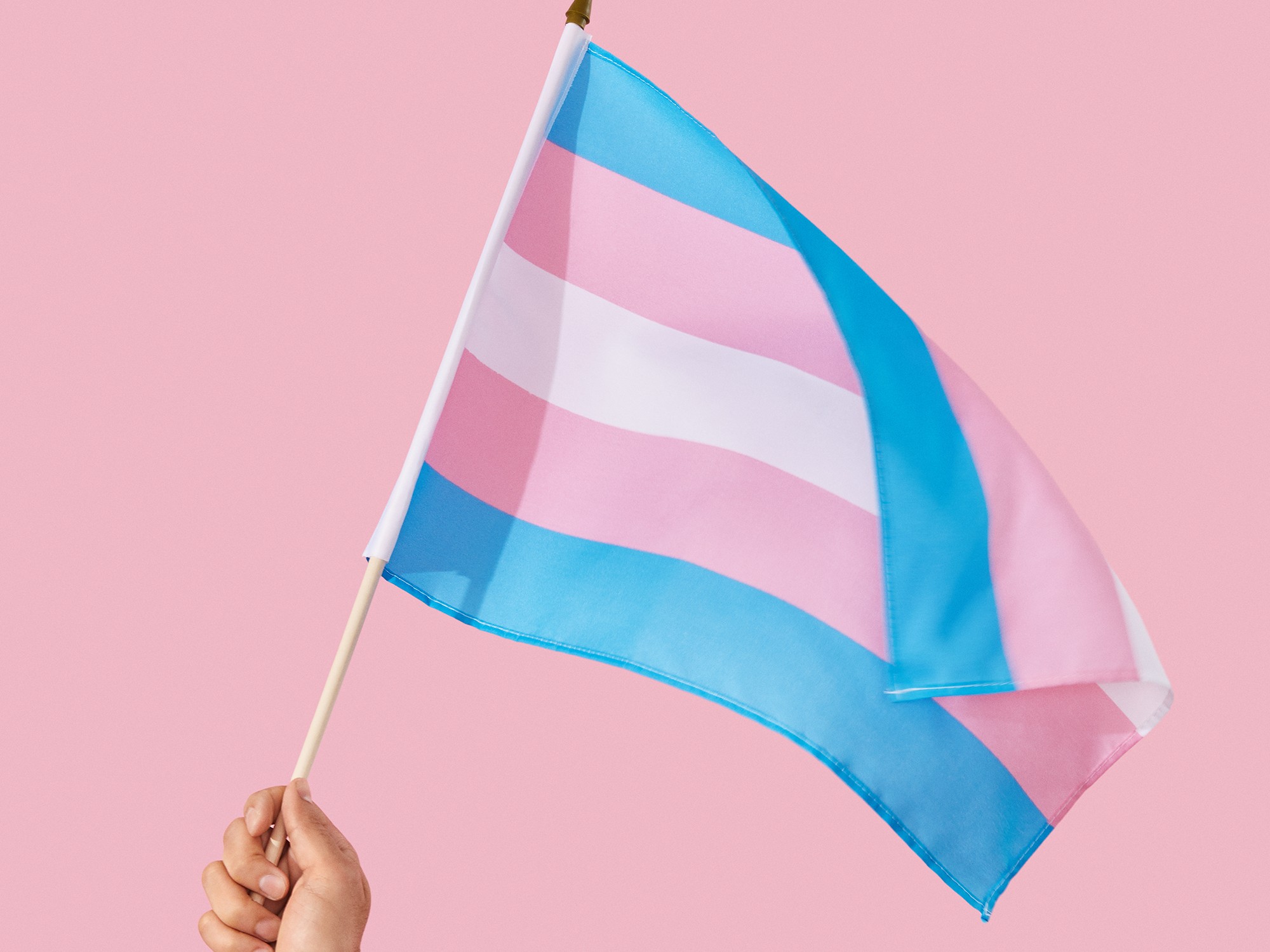 Trans öğrencileriniz için yapabilecekleriniz Kaos GL - LGBTİ+ Haber Portalı