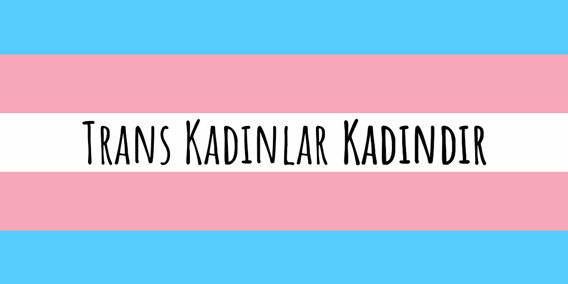 Feminist bir yöntemle transfobiye bakmak Kaos GL - LGBTİ+ Haber Portalı