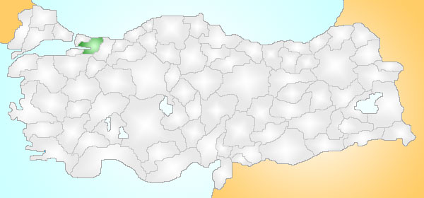 Our Anti-Homophobia/Transphobia Struggle in Kocaeli Kaos GL - News Portal for LGBTI+