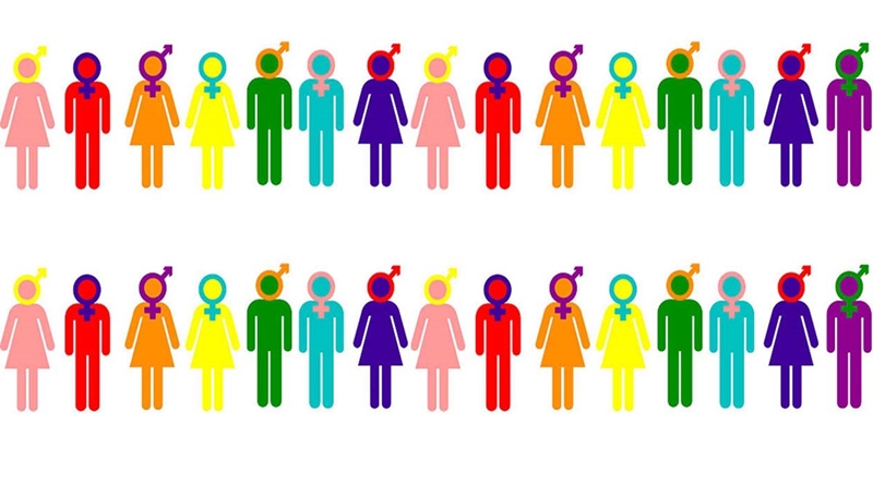 ODTÜ öğrencileri: ‘She/he ikili cinsiyet sistemini sürdürüyor’ | Kaos GL - LGBTİ+ Haber Portalı Haber
