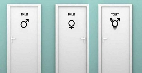 ODTÜ cinsiyetsiz tuvalet istiyor, yönetim transfobik tutumda inat ediyor! | Kaos GL - LGBTİ+ Haber Portalı Haber