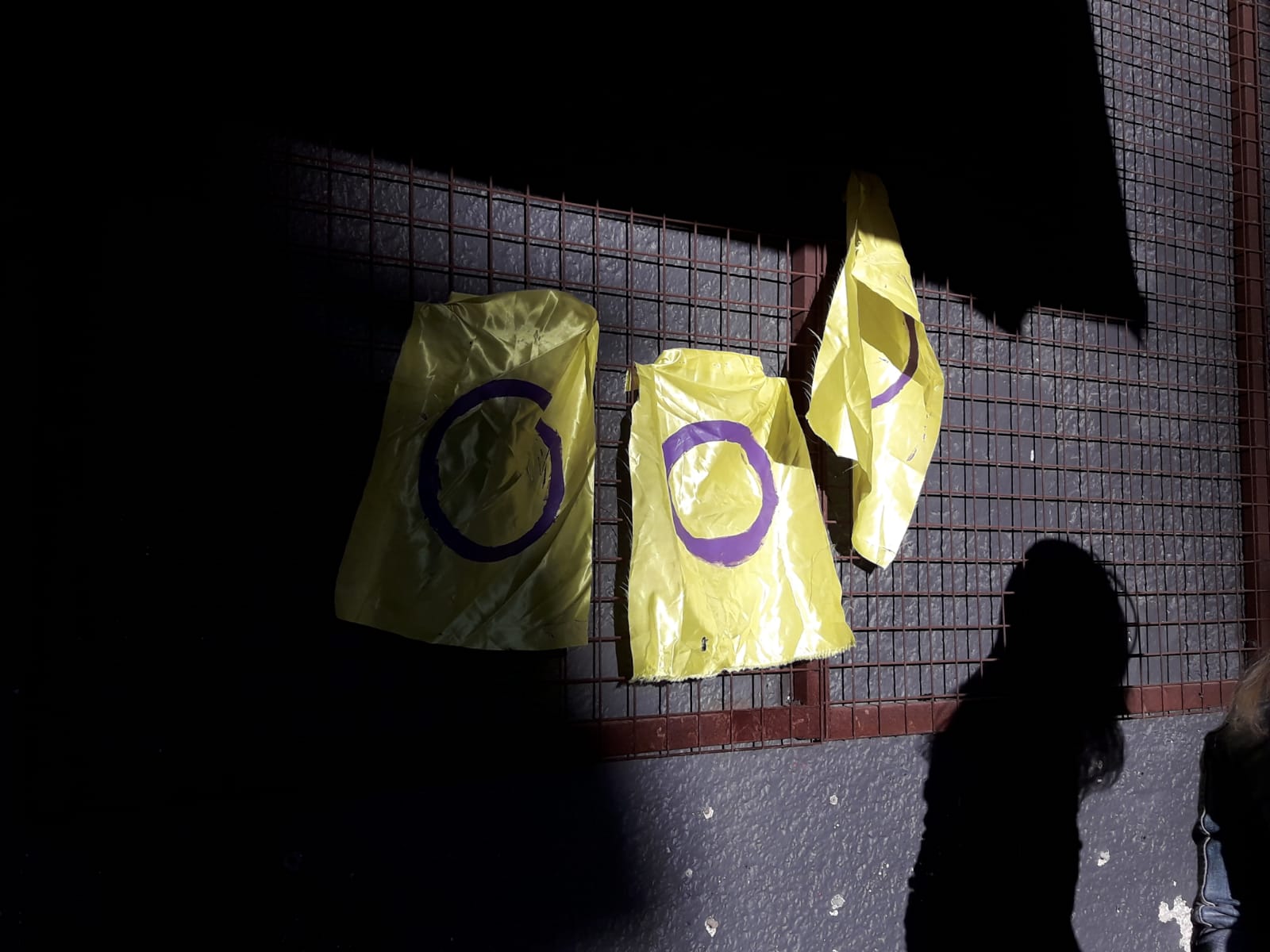 Avusturya’da Anayasa Mahkemesi 3. cinsiyet seçeneğini onayladı | Kaos GL - LGBTİ+ Haber Portalı Haber
